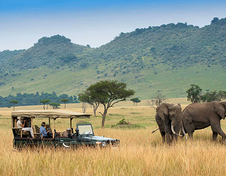 6-days-maasai-mara-serengeti-ngorongoro-safari